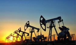 Giá dầu sụt giảm do cảnh báo Covid từ Bắc Kinh và lo ngại lạm phát