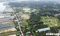 Ba sàn bất động sản bị điểm mặt ở ‘thủ phủ’ phân lô bán nền Cam Lâm