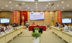 Thúc đẩy hợp tác trong thương mại, đầu tư giữa cộng đồng doanh nghiệp Việt Nam - Mozambique