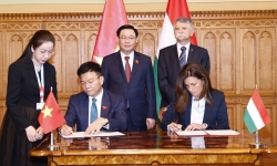 Tạo nền móng vững chắc cho quan hệ hợp tác giữa Bộ Tư pháp Việt Nam và Bộ Tư pháp Hungary