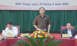 Nội dung đơn thư khiếu nại, tố cáo ở Đắk Nông chủ yếu liên quan đến đất đai