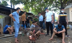 Thừa Thiên Huế: Đá gà ăn tiền, 29 đối tượng bị bắt giữ