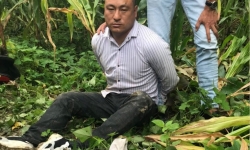 Lai Châu: Bắt 5 đối tượng, thu giữ 25 bánh heroin và 42.000 viên hồng phiến