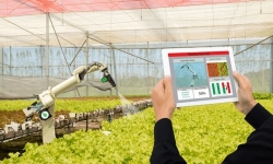Áp dụng công nghệ 4.0 quản lý chất lượng, an toàn thực phẩm, kết nối tiêu thụ nông sản