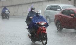 Dự báo thời tiết 31/7: Bắc Bộ, Thanh Hoá mưa lớn