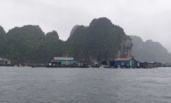 Quảng Ninh: Thành phố Cẩm Phả ra quân làm sạch biển, tháo dỡ toàn bộ công trình nuôi thủy sản trái phép