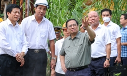 Thủ tướng Phạm Minh Chính: Hoàn thiện đề án xử lý dự án Đạm Hà Bắc trong tháng 8/2022