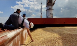 Ukraine: Các chuyến hàng ngũ cốc đi quốc tế vẫn tồn đọng nhiều trở ngại