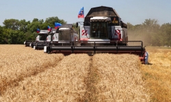 Xuất khẩu nông sản của Ukraine sẽ tăng 4 triệu tấn trong tháng 8