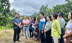 Hội Nhà báo Nghệ An tổ chức chuyến đi thực tế cho phóng viên tại miền núi huyện Con Cuông