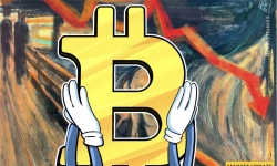 Giá Bitcoin hôm nay 29/8: Vật lộn giữ mốc 20.000 USD