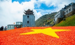 Lá cờ Tổ quốc khổng lồ trên núi Fansipan kết từ 150.000 bông hoa hồng