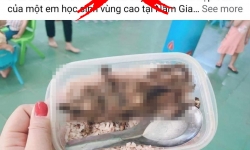 Bức ảnh 'con chuột núi' trong bữa ăn của học sinh Nam Giang là chưa đúng sự thật