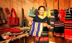 Bình Phước: Nhiều hoạt động thiết thực hỗ trợ phụ nữ dân tộc, tôn giáo phát triển kinh tế