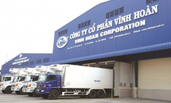 CTCP Vĩnh Hoàn (VHC) vay nợ tăng 812 tỷ trong nửa năm, giá cổ phiếu giảm sàn sau khi thay lãnh đạo