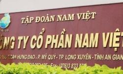 Nam Việt (AVN) nợ vay tăng 300 tỷ đồng trong nửa năm, chốt trả cổ tức bằng tiền mặt tỷ lệ 10%