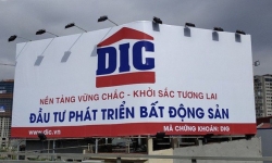 DIC Corp (DIG) rớt giá 74%, cổ đông lớn Thiên Tân vội bán hơn 3,4 triệu cổ phiếu