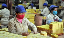Công ty bán... vàng mã duy nhất trên sàn chứng khoán Việt Nam báo lãi đột biến