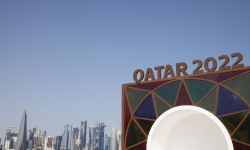 Bia tại Qatar có giá gần 14 USD mỗi cốc dành cho NHM World Cup