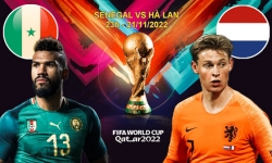 Dự đoán, nhận định trận Senegal vs Hà Lan 23h ngày 21/11 bảng A World Cup 2022