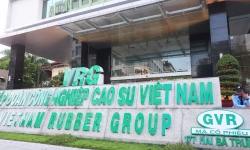 Công nghiệp Cao su Việt Nam (GVR) lợi nhuận giảm 35%, lãnh đạo chỉ dám mua 5% lượng đăng ký
