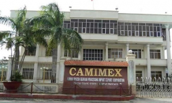 Camimex Group (CMX) cổ phiếu 'bốc hơi' 2/3 giá trị, công ty vẫn phát hành 300 tỷ đồng trái phiếu