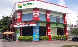 Angimex (AGM) 9 tháng lỗ 35 tỷ, vừa bổ sung một vị trí lãnh đạo mới