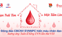 Đông đảo CBCNV EVNNPC hiến máu nhân đạo hưởng ứng Tuần lễ hồng EVN lần thứ VIII