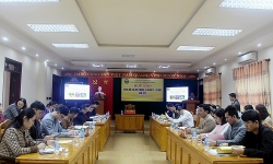 Thu ngân sách Quảng Bình năm 2022 ước đạt hơn 8.000 tỷ đồng