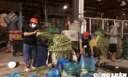 TP HCM: Hàng ngàn tấn hàng Tết đổ về chợ sỉ, siêu thị