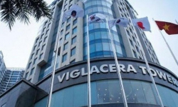 Viglacera (VGC) tài sản chủ yếu là nợ, lợi nhuận 70% đến từ kinh doanh bất động sản