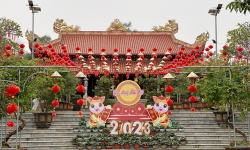 Đầu năm Mão về Thanh Hoá thăm chùa Mèo