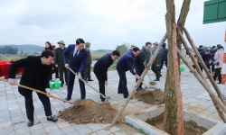 Năm 2023, tỉnh Thanh Hóa phấn đấu trồng từ 3 triệu cây xanh trở lên