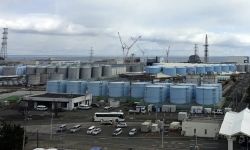 Điều gì đang xảy ra với Fukushima 12 năm sau vụ rò rỉ phóng xạ?