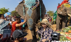 Hàng nghìn người thích thú ngắm nhìn những chú voi Bản Đôn được trang điểm lộng lẫy