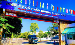 Đường Quảng Ngãi (QNS) vừa bị thanh tra về thuế nay lại hạ kế hoạch lãi xuống thấp kỷ lục