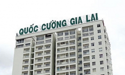 Quốc Cường Gia Lai (QCG) lợi nhuận đi lùi, rủi ro nợ ngắn hạn vượt vốn chủ sở hữu 958 tỷ đồng