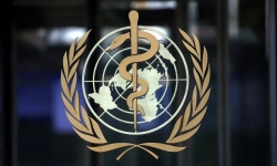 WHO: Vô sinh ảnh hưởng đến 1/6 dân số toàn cầu