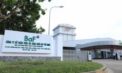 Nông nghiệp BAF Việt Nam (BAF) mục tiêu kinh doanh đi ngang, chưa có kế hoạch chia cổ tức