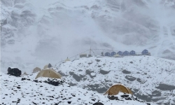 Nepal: 5 người mất tích do lở tuyết khi đang đi tìm 'thần dược'