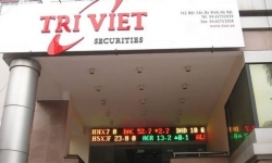 Chủ tịch bị bắt, Quản lý tài sản Trí Việt (TVC) thua lỗ hàng trăm tỷ vì đầu tư chứng khoán