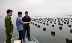Huyện Đầm Hà: Kiên quyết xử lý nghiêm các vi phạm trong nuôi biển