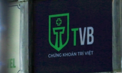 Cổ phiếu của Chứng khoán Trí Việt (TVB) bị đưa vào diện cảnh báo