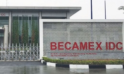 Mỗi ngày trả lãi vay 5,2 tỷ, Becamex IDC (BCM) vẫn huy động thêm 2.000 tỷ trái phiếu