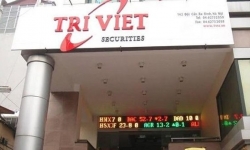 Chủ tịch Uỷ ban kiểm toán của Quản lý tài sản Trí Việt (TVC) từ nhiệm ngay trước ĐHĐCĐ