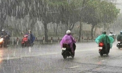 Dự báo thời tiết 25/6/2023: Bắc Bộ và Thanh Hóa có mưa vừa, mưa to