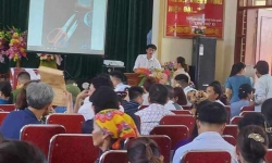 Nghệ An: Đang làm rõ việc kế toán xã trúng đấu giá 23 lô đất