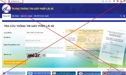 Xử lý 2 website giả mạo Trang thông tin điện tử giấy phép lái xe