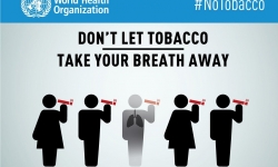 WHO: Tỷ lệ hút thuốc đã giảm trên toàn cầu