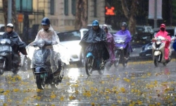 Dự báo thời tiết 8/8/2023: Hà Nội, Bắc Bộ có mưa rào